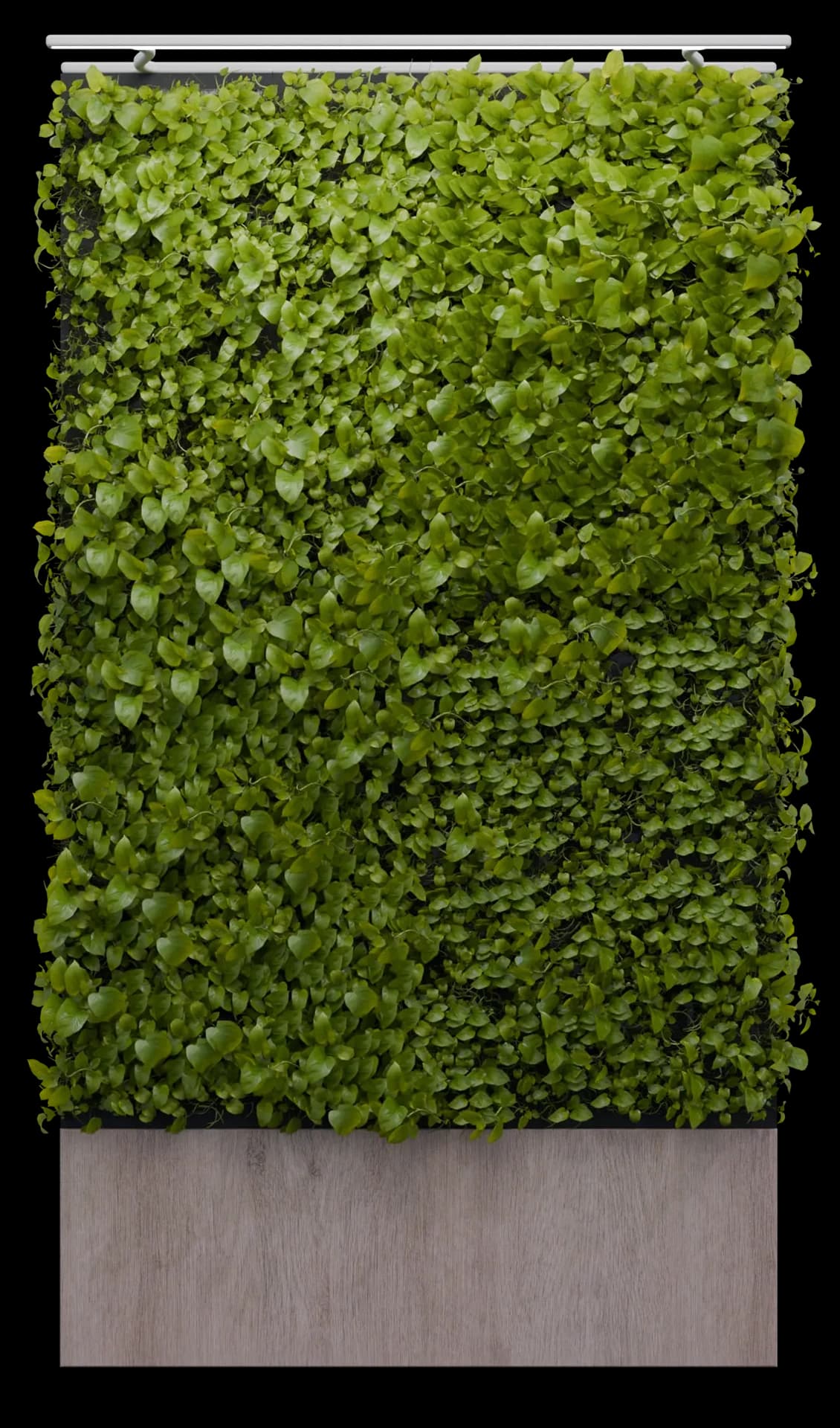 Smart Green Wall
