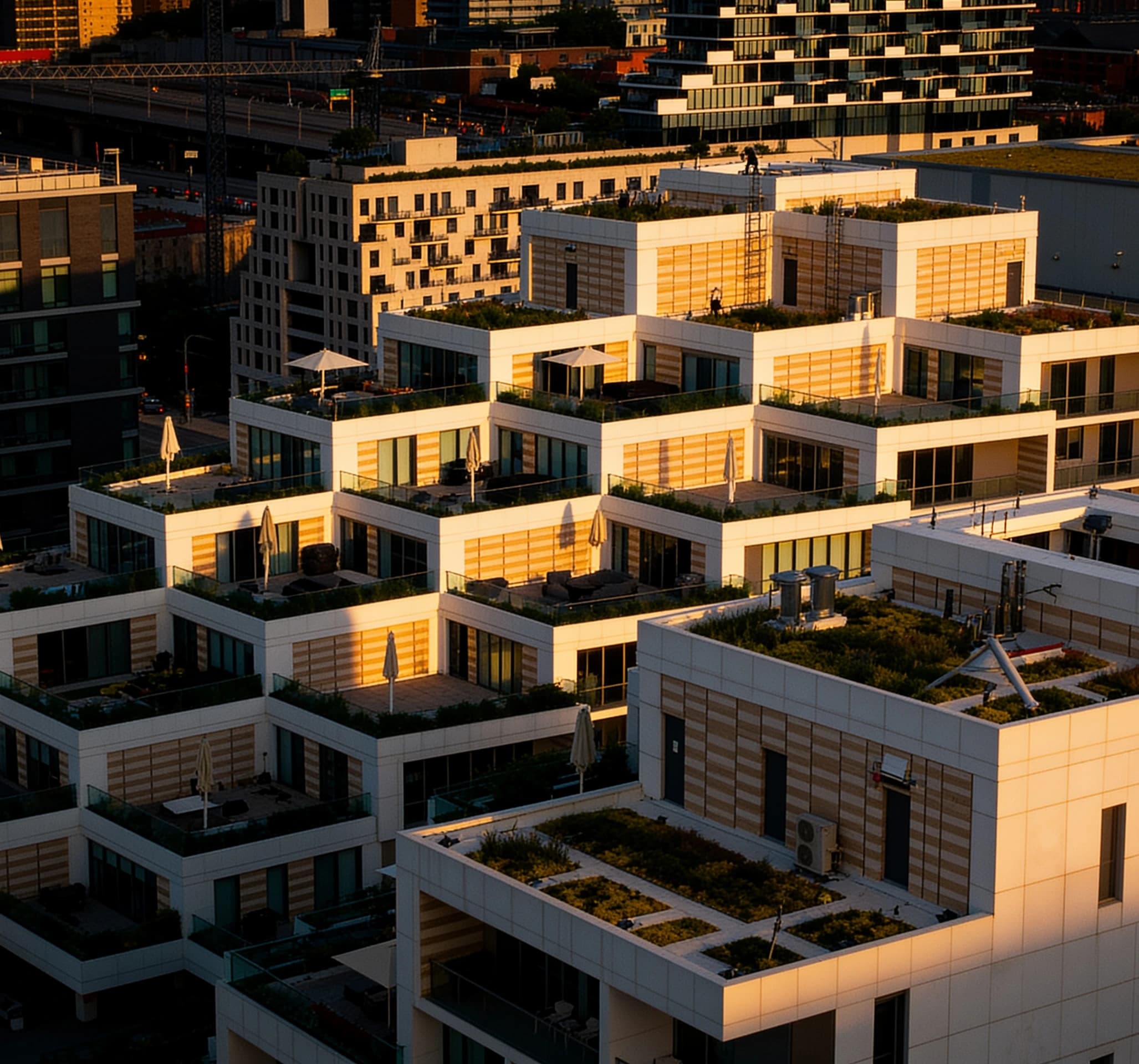 Large commercial green roof, living roof, installation, drone shot, biophilic design, ginkgo air, ginkgo sustainability, best green walls toronto, best green walls ontario